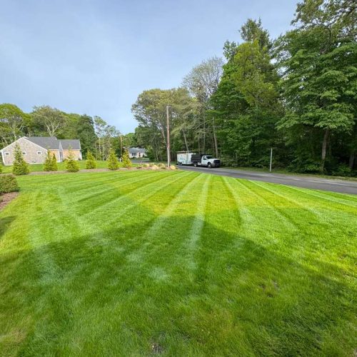 GR Yard Pro - Landscaping Services (2)