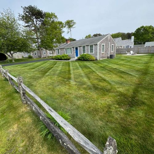 GR Yard Pro - Landscaping Services (3)