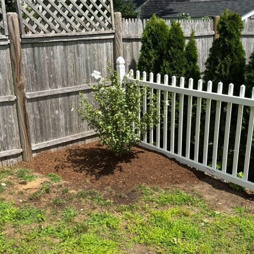 Maintenance Planting Cape Cod, Massachusetts - MA