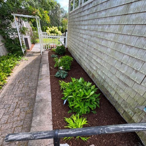 Maintenance Planting Cape Cod, Massachusetts - MA